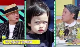 小胖最新爆料视频大全集,揭秘娱乐圈幕后真相