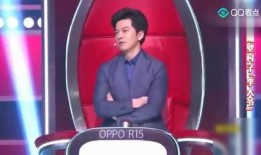 好声音李健爆料视频,独家爆料与感动瞬间