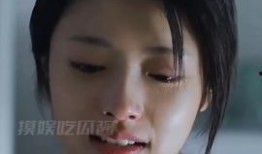 娱乐吃瓜酱冷,揭秘娱乐圈背后的秘密与真相